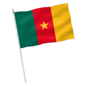 Stock-Flagge : Kamerun / Premiumqualität