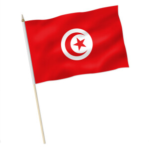 Stock-Flagge : Tunesien / Premiumqualität