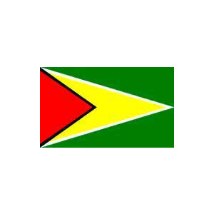 Tischflagge 15x25 : Guyana