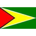Tischflagge 15x25 Guyana