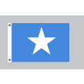 Flagge 90 x 150 : USA - Bonnie Blue