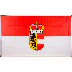 Flagge 90 x 150 : Salzburg mit Wappen