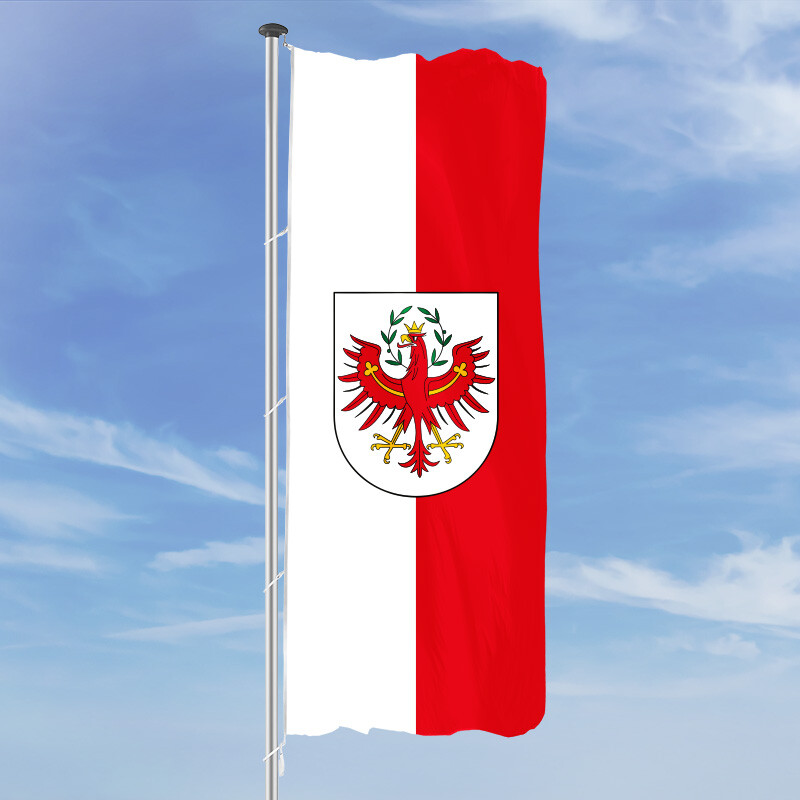 Freundschaftspins Bayern-Österreich Flaggen und Fahnen