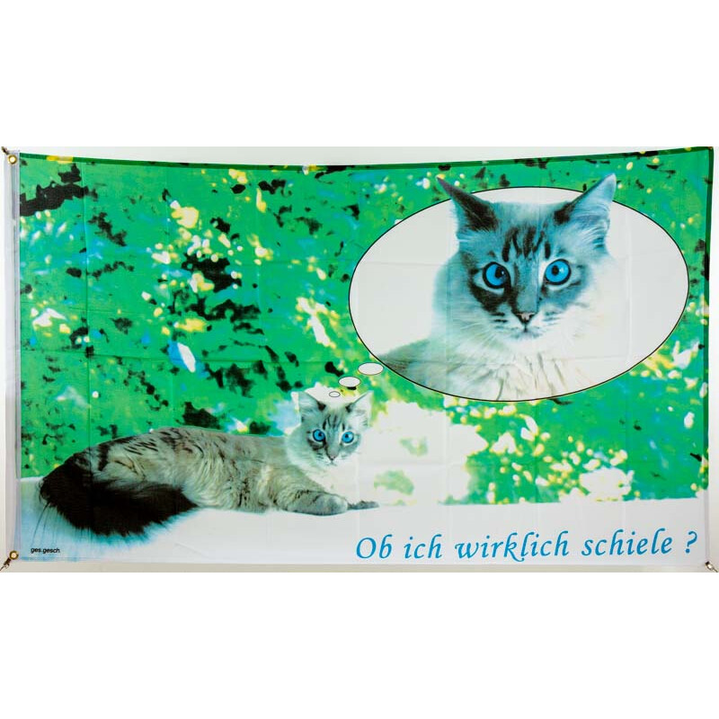 Fahne Flagge Vorsicht Katze Hissflagge 90 x 150 cm 