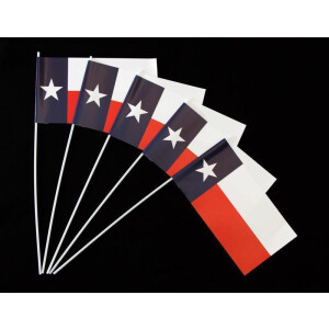 Papierfähnchen: Texas