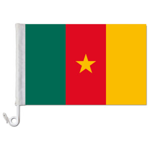Tischflagge Kamerun kamerunische Tischfahne 15x22cm 