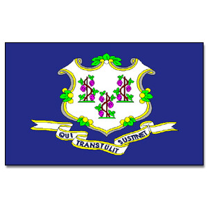 Tischflagge 15x25 : Connecticut