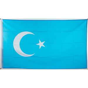Flagge Ostturkistan 90 x 150 cm Fahne 
