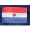 Tischflagge 15x25 : Paraguay
