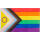 Flagge 90 x 150 : Progress Pride Flagge