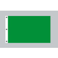 Riesen-Flagge: Grün 150cm x 250cm