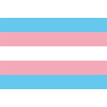 Flagge 90 x 150 : Transgender
