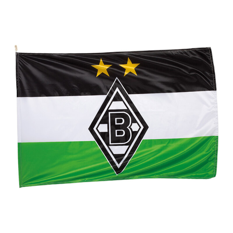 Hissflagge Fahne Eintracht Braunschweig Logo L Flagge 150 x 250 cm 