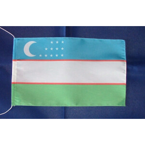 Tischflagge 15x25 : Usbekistan