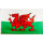 Flagge 60 x 90 cm Wales (GB)