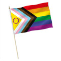 Stock-Flagge Progress Pride LGBTQIA+ Premiumqualität
