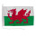 Motorrad-/Bootsflagge 25x40cm: Wales