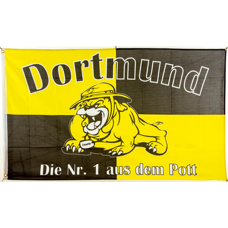 Fan sein macht Freude F9 1909 Adler Fahne Flagge Dortmund 90 x 150 cm