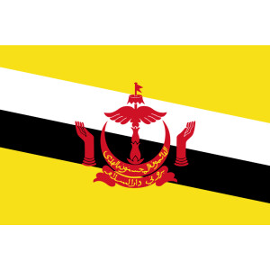 Aufkleber GLÄNZEND Brunei