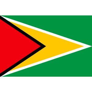 Aufkleber GLÄNZEND Guyana