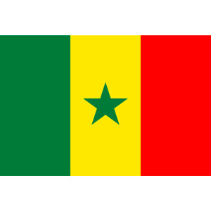 Aufkleber GLÄNZEND Senegal
