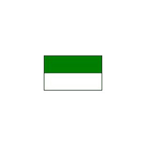 XXL Flagge Grün-Weiß in 3m x 5m.