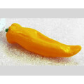 Peperoni gelb aus Kunststoff 3 Stück