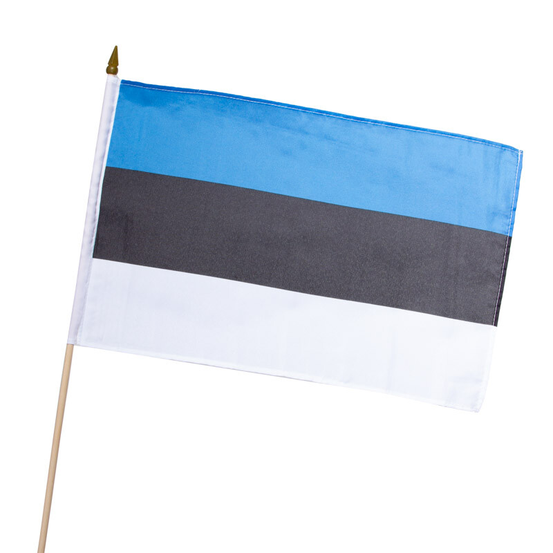 Flagge Fahne Estland 30 x 45 cm 