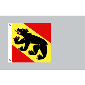 Flagge 120x120 : Bern (CH)