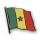 Flaggen-Pin vergoldet Senegal