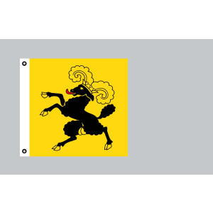 Flagge 120x120 : Schaffhausen (CH)