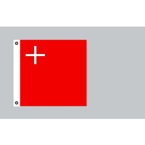 Flagge 120x120 : Schwyz (CH)
