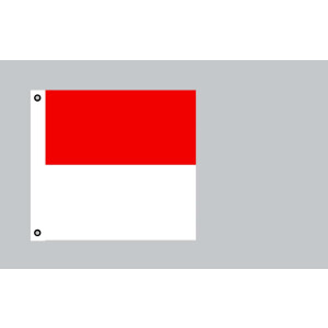 Flagge 120x120 : Solothurn (CH)