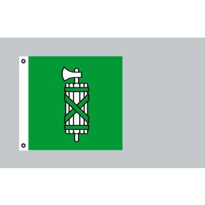 Flagge 120x120 : St. Gallen (CH)