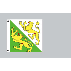 Flagge 120x120 : Thurgau (CH)