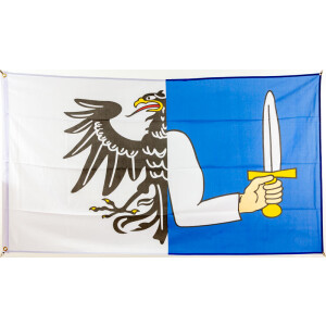 Flagge 90 x 150 : Connacht