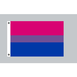 Flagge 90 x 150 : Bi Pride