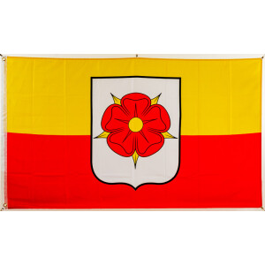 Flagge 90 x 150 : Lippe Rose Detmold