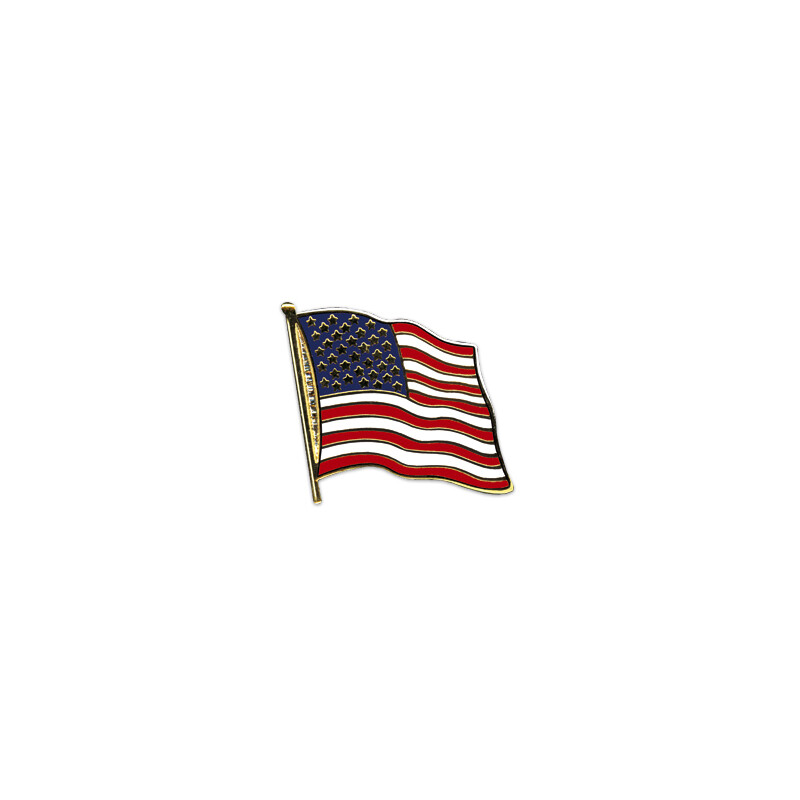 Freundschaftspin USA Texas Pin Fahne Flagge 