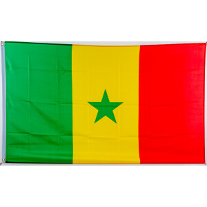 Flagge 90 x 150 : Senegal
