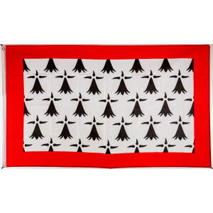 Flagge 90 x 150 : Limousin (F)