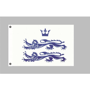 Flagge 90 x 150 : Berkshire (GB)