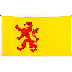 Flagge 90 x 150 : Zuidholland (NL)