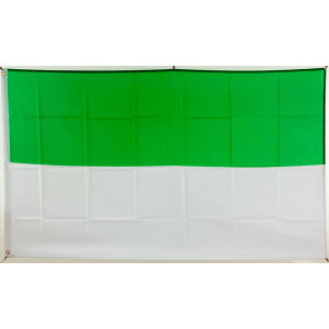 Flagge 90 x 150 : Schützenfest grün/weiß