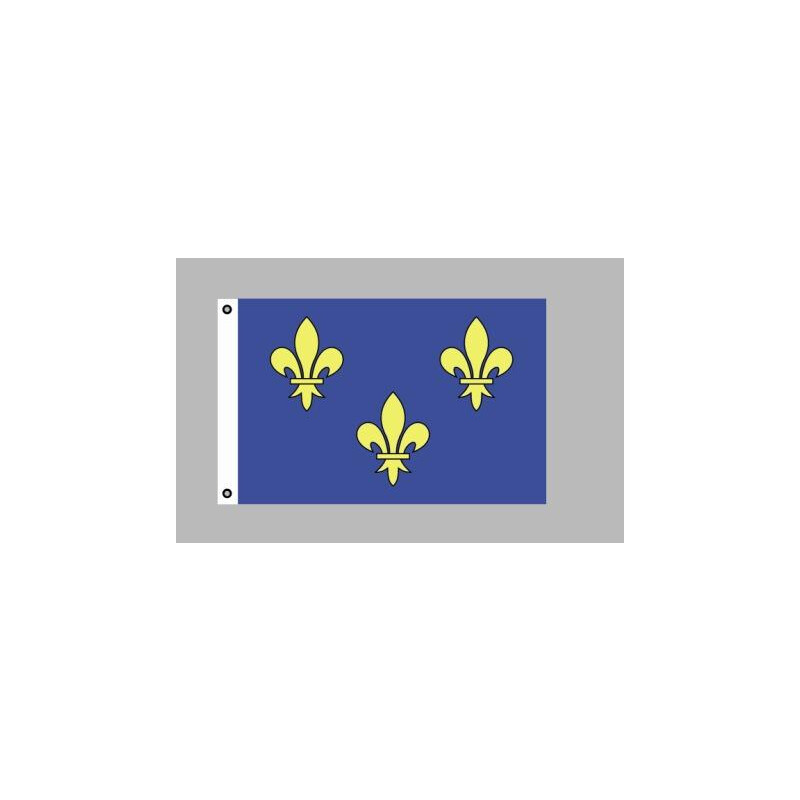 Flagge Fahne Fleur de Lys 90 x 150 cm zum Hissen 