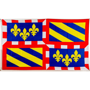 Flagge 90 x 150 : Burgund (F)