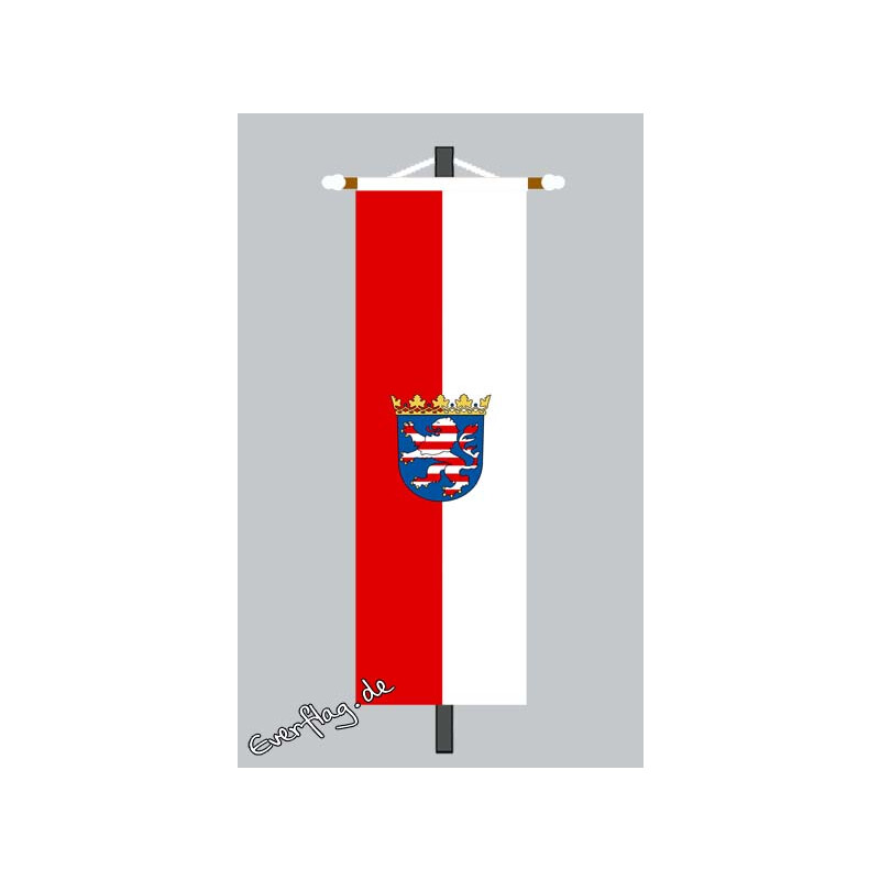 Papierfahnen Hessen Papierfähnchen Flagge Fahne 