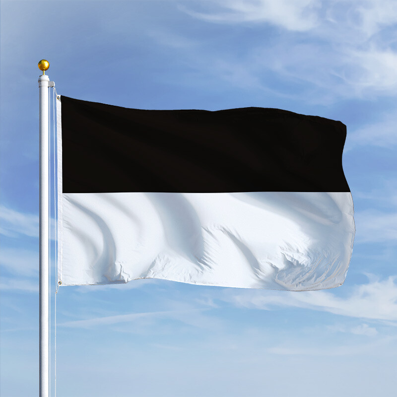 Fahne Flagge Siefersheim 30 x 45 cm Bootsflagge Premiumqualität
