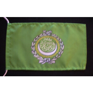 Tischflagge 15x25 : Arabische Liga